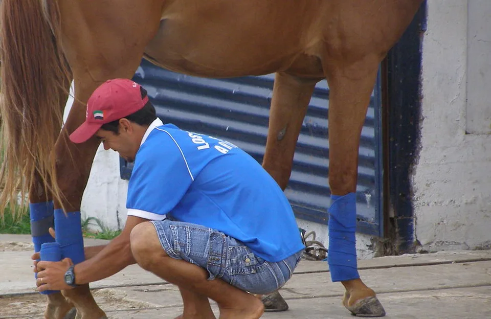 Persona realizando cuidados en la pata de un caballo